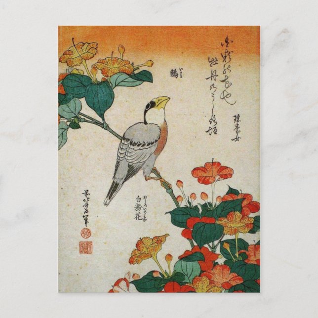 Cartão Postal Grosbeak japonês e Mirabilis Jalapa (Hokusai) (Frente)