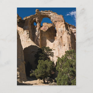 Cartão Postal Grosvenor Arch