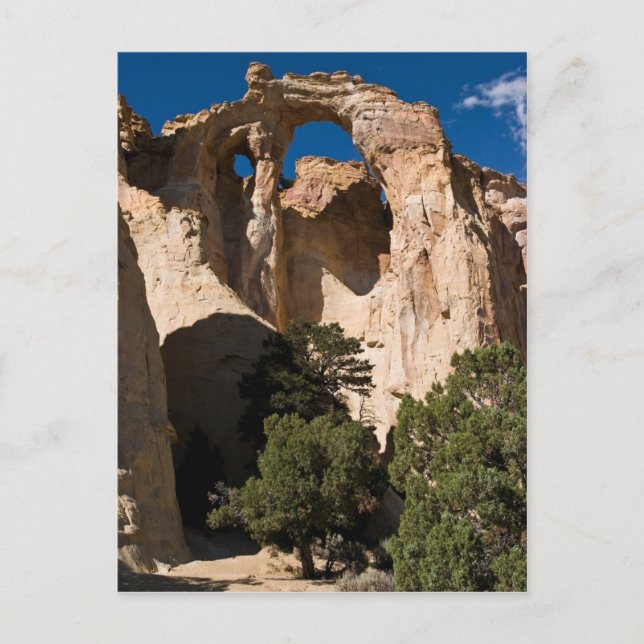 Cartão Postal Grosvenor Arch (Frente)