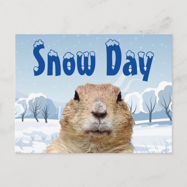 Cartão Postal Groundhog Snow Day (Frente)