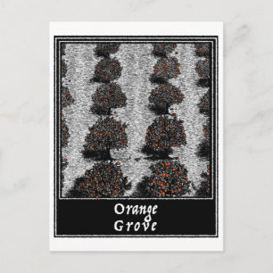 Cartão Postal Grove Laranja