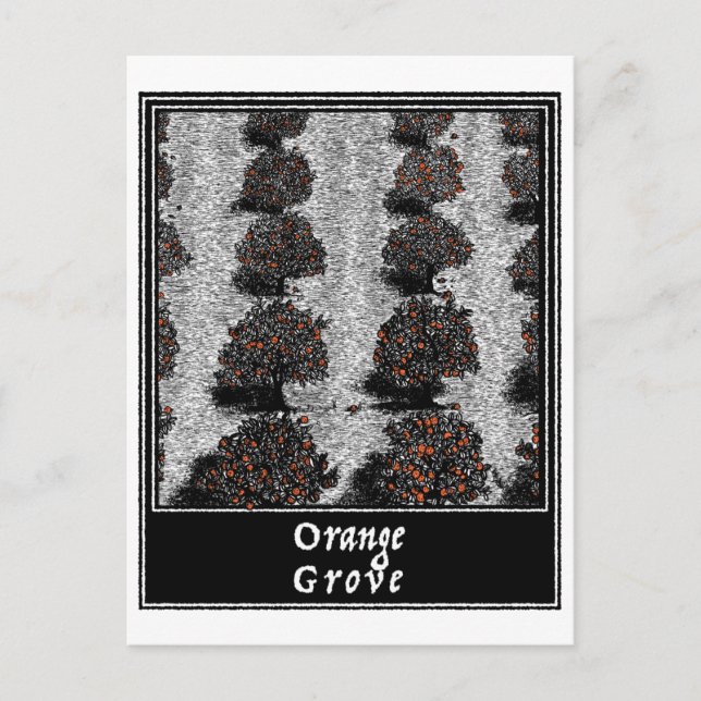 Cartão Postal Grove Laranja (Frente)