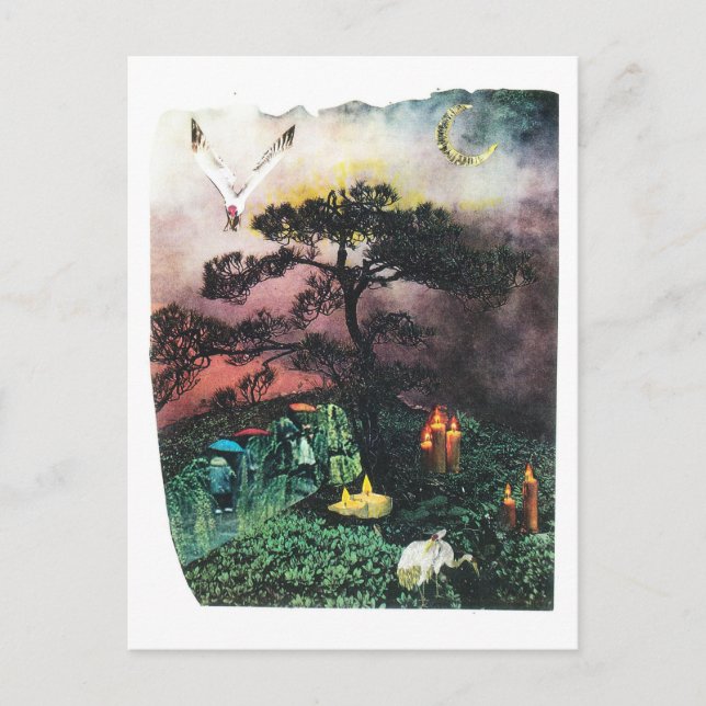 Cartão Postal gruas (Frente)