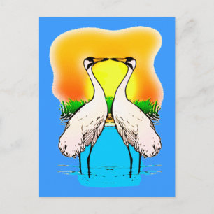 Cartão Postal Gruas Brancas Apaixonadas