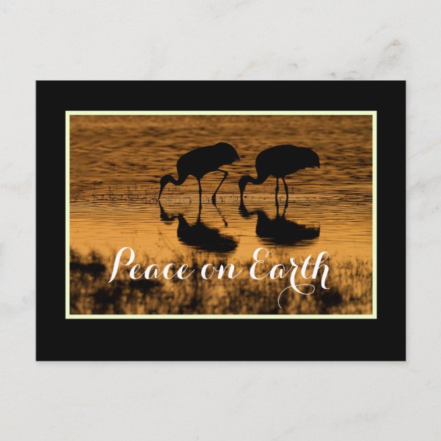 Cartão Postal Gruas e Paz na Terra com fronteira (Frente)