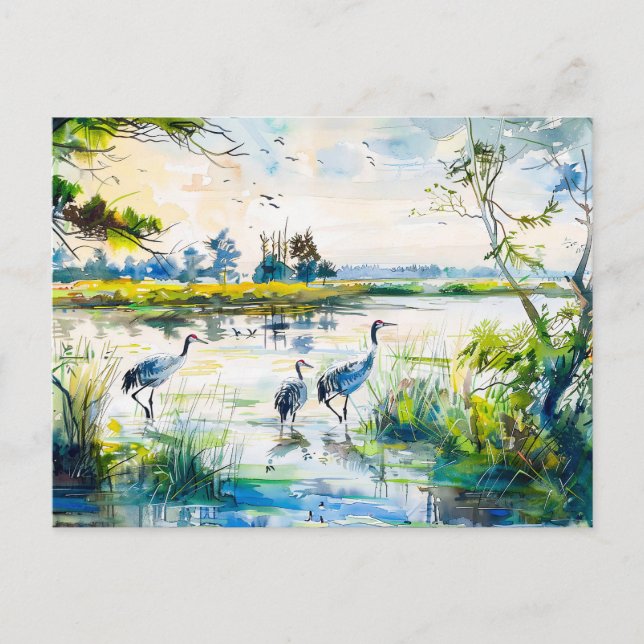 Cartão Postal Gruas pelo estilo aquoso do rio Havelland (Frente)
