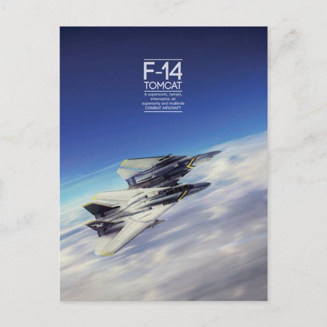Cartão postal Grumman F-14 Tomcat (Frente)