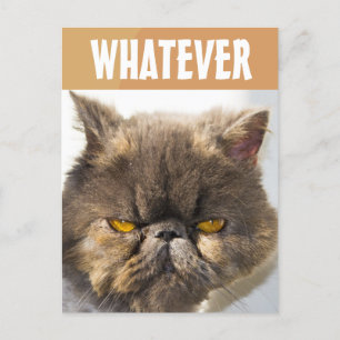 CARTÃO POSTAL GRUMPY GRUMPY DE GATO PERSO