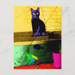 Cartão Postal Grunge Pop Art Cat. em Tanque de Peixe