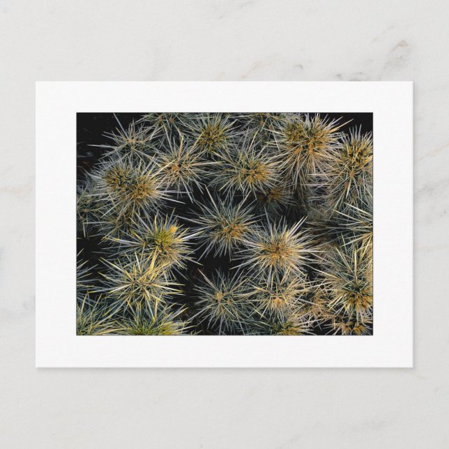 Cartão Postal "Grupo Ouch" (Frente)