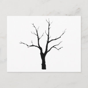 Cartão Postal Grupo preto e branco da árvore do inverno