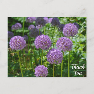 Cartão Postal Grupo Roxo de Flores de Allium Obrigado