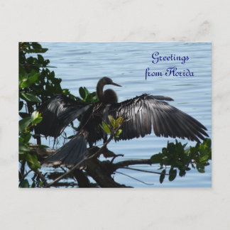 Cartão Postal Grüße aus Florida Grußkarte Postkarte