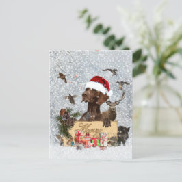 Cartão Postal Gsp, Natal de cão