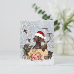 Cartão Postal Gsp, Natal de cão