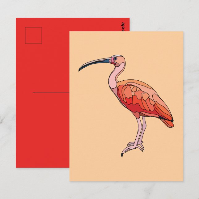 Cartão Postal Guara-vermelha (Frente/Verso)