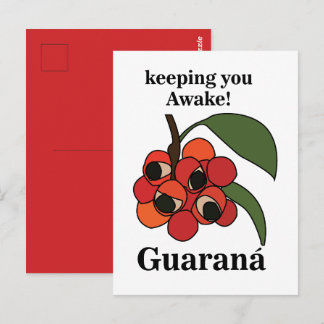 Cartão Postal Guarana Fruit Plant Botanical