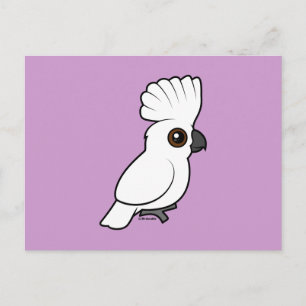 Cartão Postal Guarda-chuvas Cockatoo (levantado)