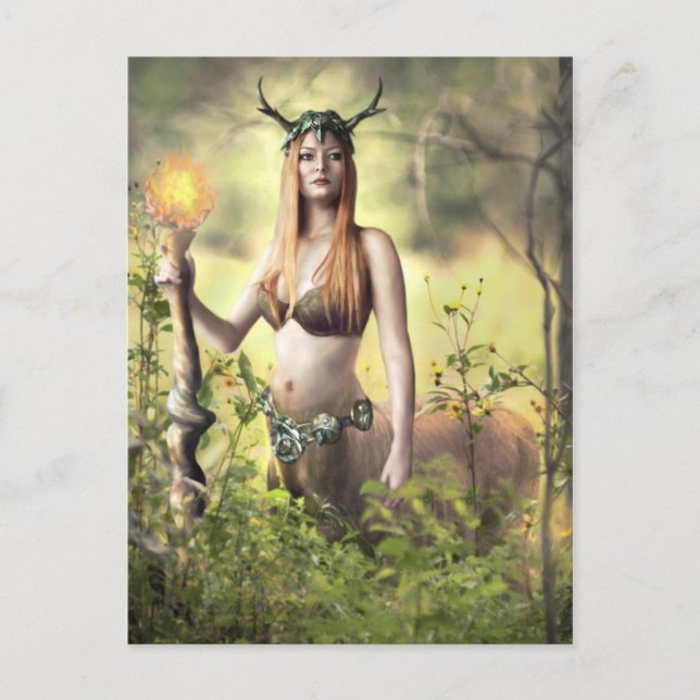 Cartão Postal Guardião da Floresta - Cartão-postal (Frente)
