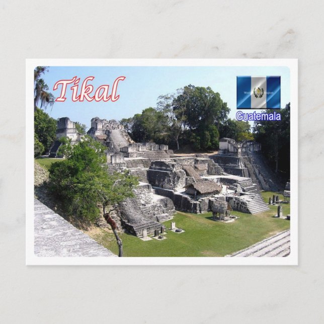 Cartão Postal Guatemala - Tikal - (Frente)