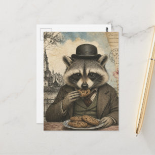 Cartão Postal Guaxinim Adorável Comendo Biscoitos Vintage