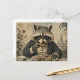 Cartão Postal Guaxinim Comendo Biscoitos Vintage