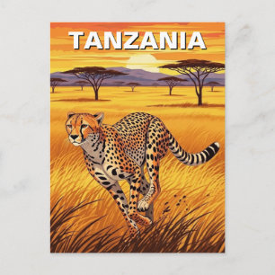 Cartão Postal Guepardo no Parque Nacional Serengeti Tanzânia