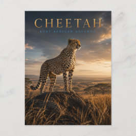 Cartão Postal Guepardo Savana da África Oriental ANIMAIS
