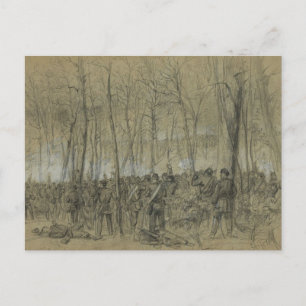 Cartão Postal Guerra Civil dos EUA: A Natureza Selvagem