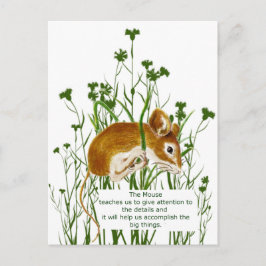 Cartão Postal Guia da bebida espirituosa de animais com aquarela