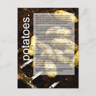 Cartão Postal Guia de crescimento correto: Batatas e Cenouras