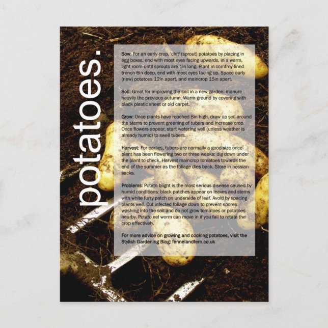 Cartão Postal Guia de crescimento correto: Batatas e Cenouras (Frente)