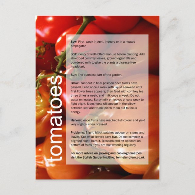 Cartão Postal Guia de crescimento correto: Tomates e alho (Frente)