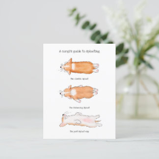 Cartão Postal Guia de filhotes de corgi giratório para posiciona