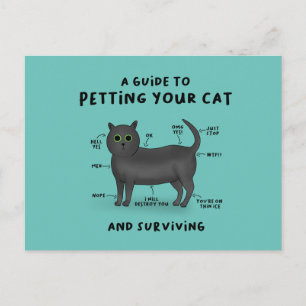 Cartão Postal Guia para Petting Your Cat - Cat Humor