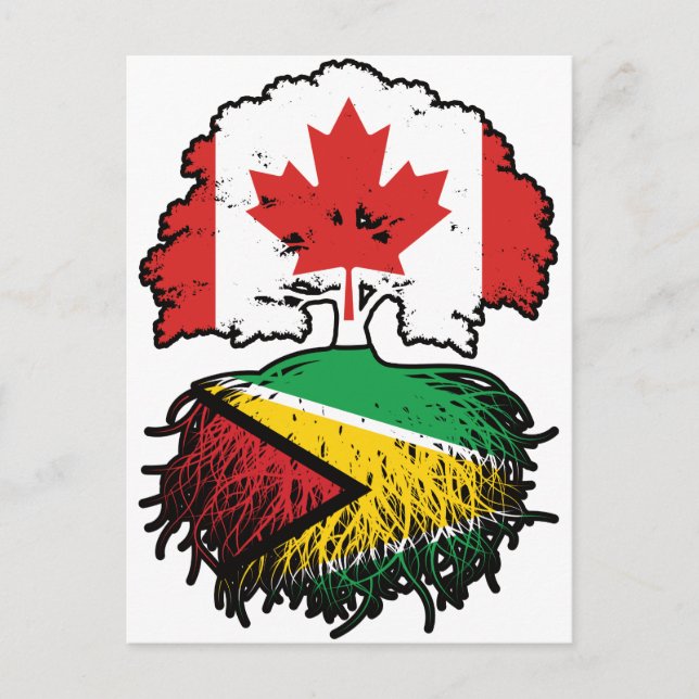 Cartão Postal Guiana Guiana Guiana Canadense Canada Tree Roots F (Frente)