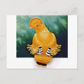 Cartão Postal Guianan Cock-of-the-rock
