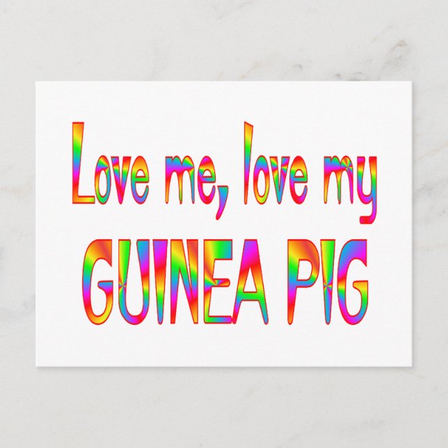 Cartão Postal Guiné Pig Love (Frente)
