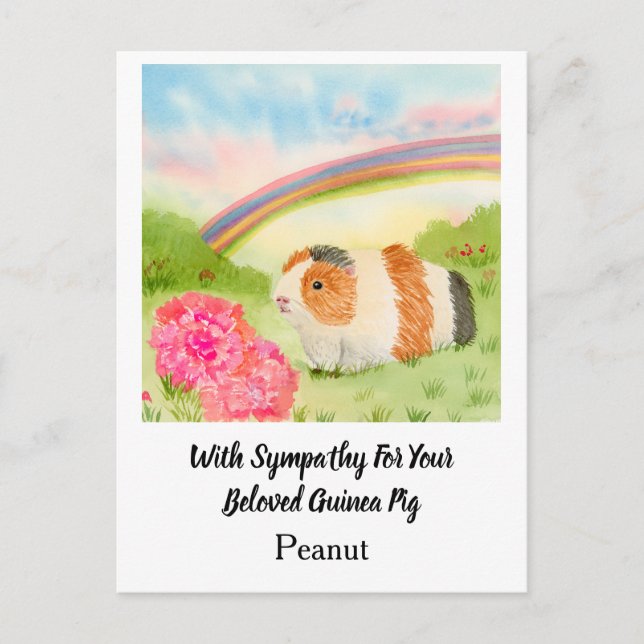 Cartão Postal Guinea Pig Rainbow Sympathy with Carnations Name (Frente)
