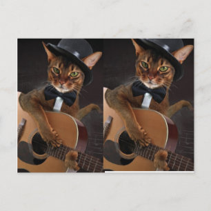 Cartão Postal Guitarrista Gato Legal