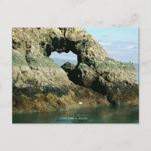 Cartão Postal Gull Island, Alaska