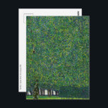 Cartão Postal Gustav Klimt - O Parque<br><div class="desc">O Parque - Gustav Klimt,  Óleo sobre Tela,  1910</div>