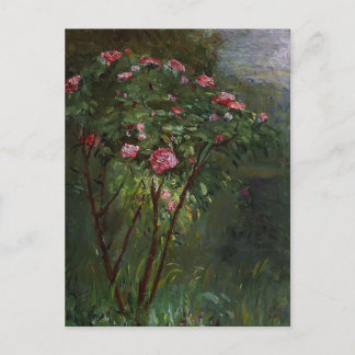 Cartão Postal Gustave Caillebotte - Rosa Bush na Flor