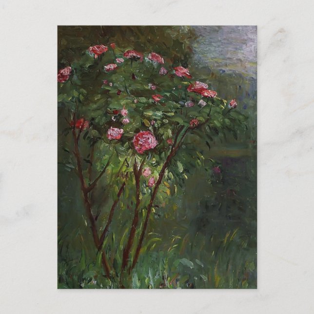 Cartão Postal Gustave Caillebotte - Rosa Bush na Flor (Frente)