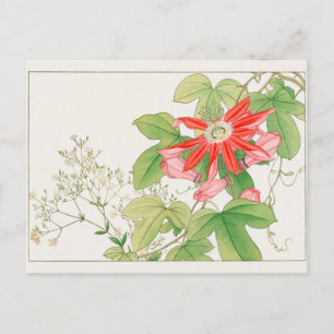 Cartão Postal Gypsophila, Flor de Passion por Tanigami Konan