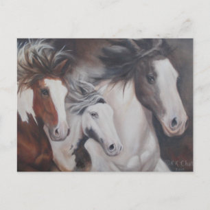 Cartão Postal Gypsy Run