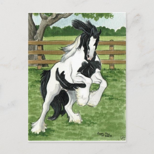 Cartão Postal Gypsy Vanner no jogo Arte de Cavalo (Frente)