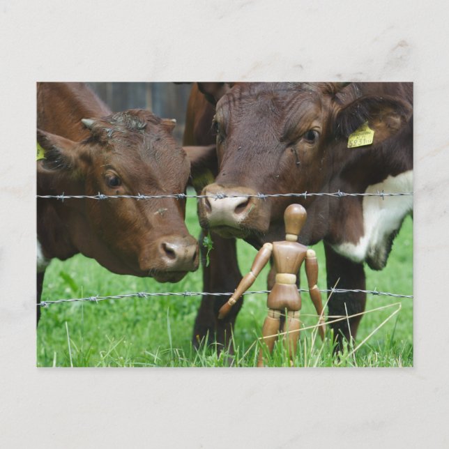 Cartão Postal Hã? (Frente)