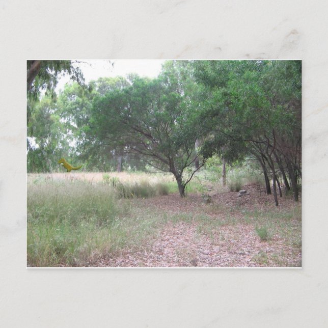 Cartão Postal Há um dinossauro na floresta... (Frente)
