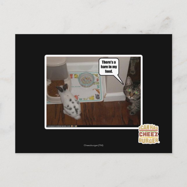 Cartão Postal Há uma lebre na minha comida. (Frente)